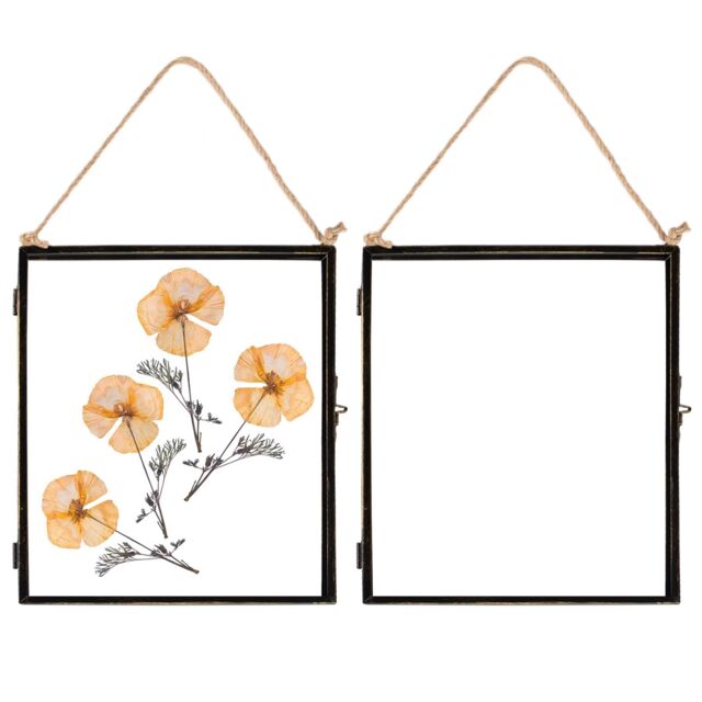 "Nicola Spring 2x Hanging Metal Photo Frames - 8"" x 10"" - Picture Frame Wall Mounted Frame with Rope in Black" - image 1