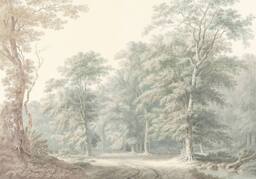 Superfresco Easy Stately Woodland Neutral Green Print To Order 3m x 2.8m Mural - thumbnail 2