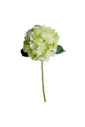 KDMD Short Stem Hydrangea Green 2 Pack - thumbnail 4