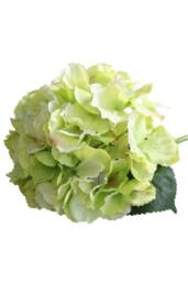 KDMD Short Stem Hydrangea Green 2 Pack - thumbnail 2