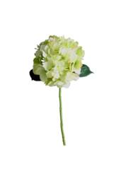 KDMD Short Stem Hydrangea Green 2 Pack - thumbnail 6