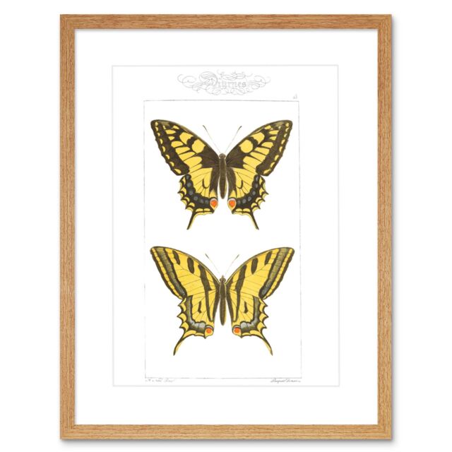 "Artery8 Wall Art Print Butterflies Black & Yellow Art Framed 9x7 inch in Beige - Size: W7"" x H9""" - image 1