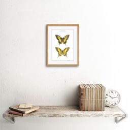 "Artery8 Wall Art Print Butterflies Black & Yellow Art Framed 9x7 inch in Beige - Size: W7"" x H9""" - thumbnail 2