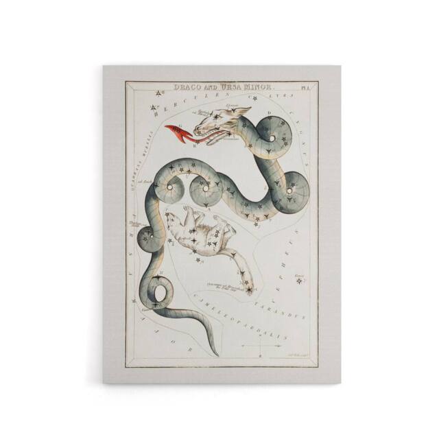 "Artery8 Draco & Ursa Minor Constellation Hall Canvas Wall Art Print in White - Size: W24"" x H32""" - image 1