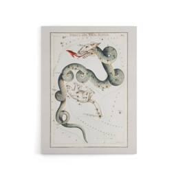 "Artery8 Draco & Ursa Minor Constellation Hall Canvas Wall Art Print in White - Size: W24"" x H32""" - thumbnail 1