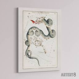 "Artery8 Draco & Ursa Minor Constellation Hall Canvas Wall Art Print in White - Size: W24"" x H32""" - thumbnail 2
