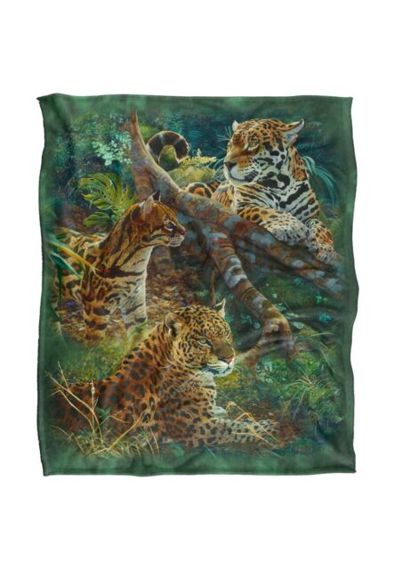 JQ Licensing Jmm-Jp Jungle Cats Leopards Silky Touch Super Soft Throw Blanket 152 X 127 cm in White - image 1