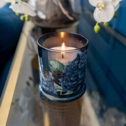 Madison & Mayfair Large Hydrangea & Jasmine Lidded Jar Candle in Blue - thumbnail 1