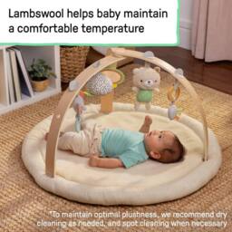 Ingenuity Every Season Plush Lambswool Baby Gym & Play Mat Newborn+ - thumbnail 2