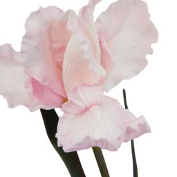 Hill Interiors The Natural Garden Collection Fringed Iris Artificial Flower in Pale Pink - thumbnail 3