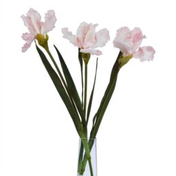Hill Interiors The Natural Garden Collection Fringed Iris Artificial Flower in Pale Pink - thumbnail 2