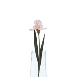 Hill Interiors The Natural Garden Collection Fringed Iris Artificial Flower in Pale Pink - thumbnail 4