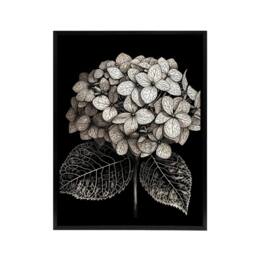"Artery8 Hydrangea Flower Bloom Black White Framed Canvas Wall Art Print in Grey - Size: W18"" x H24""" - thumbnail 1