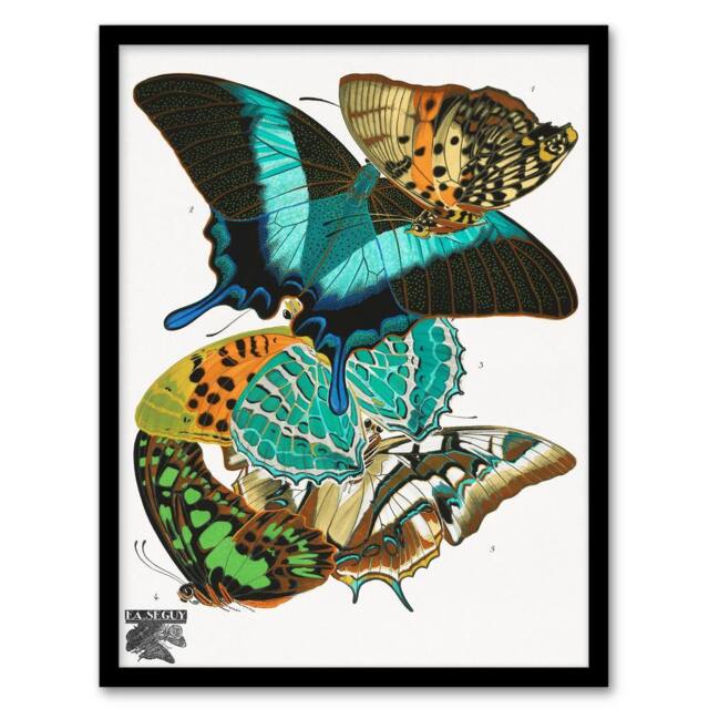 Artery8 Eugene Seguy Framed Wall Art Print Vintage Colourful Butterflies - Size: A4 - image 1