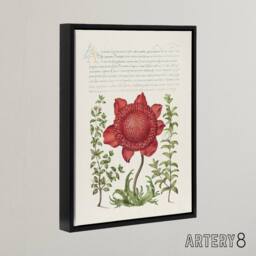 "Artery8 Poppy Anemone & Myrtle Calligraphy Framed Canvas Wall Art Print in White - Size: W12"" x H16""" - thumbnail 2