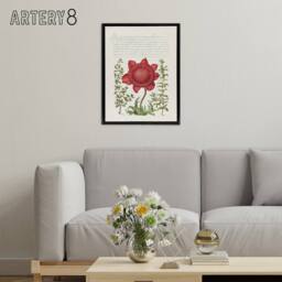 "Artery8 Poppy Anemone & Myrtle Calligraphy Framed Canvas Wall Art Print in White - Size: W12"" x H16""" - thumbnail 3