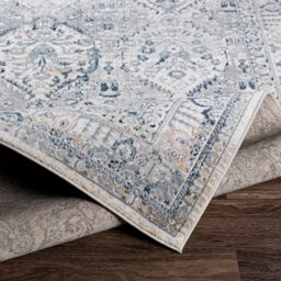 Livabliss Jolie Vintage Grey Blue Ivory Brown Traditional Boho Living Dining Bedroom Rug in Light Grey - Size: 120 cm x 170 cm - thumbnail 4