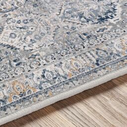 Livabliss Jolie Vintage Grey Blue Ivory Brown Traditional Boho Living Dining Bedroom Rug in Light Grey - Size: 120 cm x 170 cm - thumbnail 7