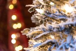 Shatchi Prelit Holly Flock Pop up Christmas Tree Xmas Home Indoor LED Warm White Lights Baubles Decorations Battery Operated, 6Ft - thumbnail 4