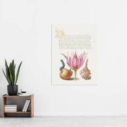 "Artery8 Pear Pink Tulip & Seashell Calligraphy Wall Art Poster Print in White - Size: W12"" x H16""" - thumbnail 4