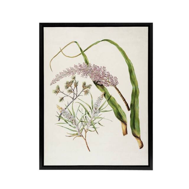 "Artery8 Totorowhiti Turpentine Scrub Flowers Featon Framed Canvas Wall Art in Beige - Size: W12"" x H16""" - image 1