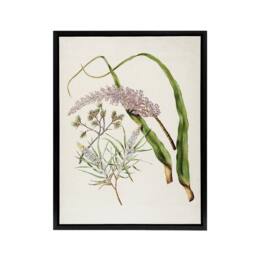"Artery8 Totorowhiti Turpentine Scrub Flowers Featon Framed Canvas Wall Art in Beige - Size: W12"" x H16""" - thumbnail 1