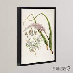 "Artery8 Totorowhiti Turpentine Scrub Flowers Featon Framed Canvas Wall Art in Beige - Size: W12"" x H16""" - thumbnail 2