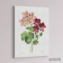 "Artery8 Geranium Flowers Illustration Redoute Vintage Canvas Wall Art in White - Size: W18"" x H24""" - thumbnail 2