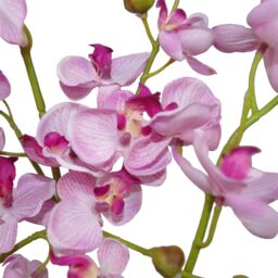 Leaf 60cm Design UK Realistic Artificial Orchid Flower Display in Pot in Pink - thumbnail 3