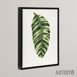 "Artery8 AF Lydon Benjamin Fawcett Musa Paradisiaca Vittata Framed Canvas Art in White - Size: W12"" x H16""" - thumbnail 2
