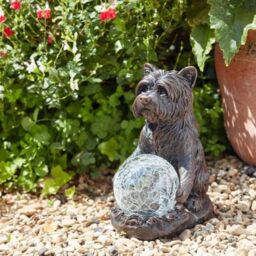 Marco Paul 2 Pack of Resin Dog Solar Powered Garden Ornament with Crystal Ball 15cm in Grey - thumbnail 4