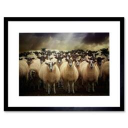 "Artery8 Sheep Flock Farm Animal Photo Wood Frame 12x16"" Framed Wall Art Print in Brown - Size: W12"" x H16""" - thumbnail 1
