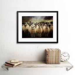 "Artery8 Sheep Flock Farm Animal Photo Wood Frame 12x16"" Framed Wall Art Print in Brown - Size: W12"" x H16""" - thumbnail 2