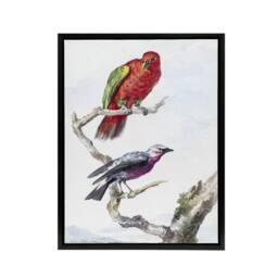 "Artery8 Red Green Parrot & Bird Watercolour Schouman Framed Canvas Wall Art in White - Size: W12"" x H16""" - thumbnail 1