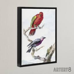 "Artery8 Red Green Parrot & Bird Watercolour Schouman Framed Canvas Wall Art in White - Size: W12"" x H16""" - thumbnail 2