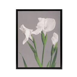 "Artery8 White Irises Blooming Flowers Framed Canvas Wall Art Print Kazumasa in Green - Size: W12"" x H16""" - thumbnail 1