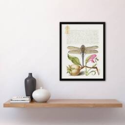 Artery8 Dragonfly Pear & Carnation Calligraphy Framed Wall Art Print in White - Size: A4 - thumbnail 4