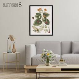 "Artery8 Great Moth Tievine & Geiger Tree Flowers Catesby Framed Canvas Art - Size: W18"" x H24""" - thumbnail 3