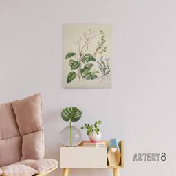 "Artery8 New Zealand Swamp Mazus Flowering Plant Featon Canvas Wall Art Print in Beige - Size: W12"" x H16""" - thumbnail 3