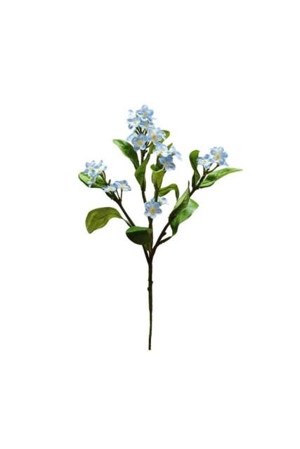 KDMD Botanica Light Blue Forget Me Not 24cm 4 Pack - image 1