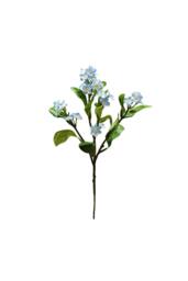 KDMD Botanica Light Blue Forget Me Not 24cm 4 Pack - thumbnail 1