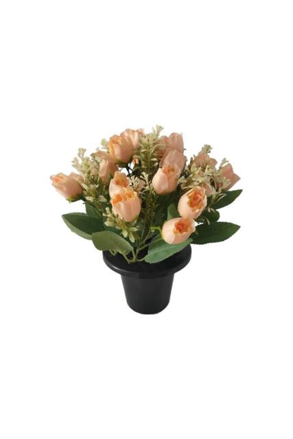 KDMD Essential Cream Rose Mix Remembrance Pot in Peach - image 1