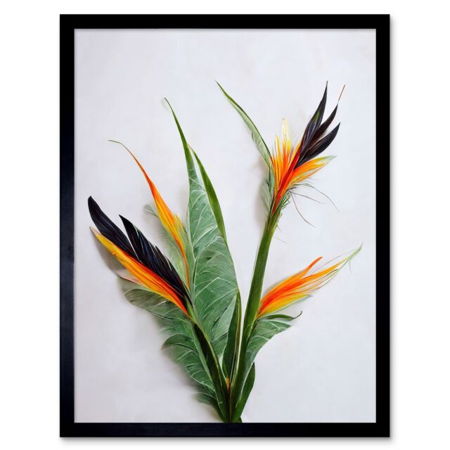 "Artery8 Wall Art Print Bird of Paradise Stem Leaves & Flowers Tropical Plant Botanical Art Framed in Black - Size: W12"" x H16""" - image 1