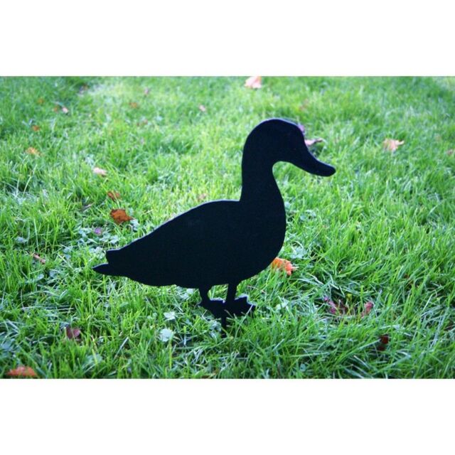 Poppyforge Duck Facing on Stake, Garden Ornament, Steel - W17.8 x H30 cm - BM/RtR in Black - image 1