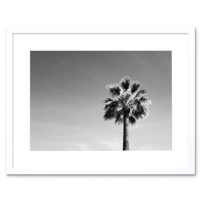 "Artery8 Wall Art Print Black & White Palm Tree Art Black Framed 9x7 inch - Size: W7"" x H9""" - image 1