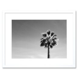 "Artery8 Wall Art Print Black & White Palm Tree Art Black Framed 9x7 inch - Size: W7"" x H9""" - thumbnail 1
