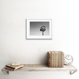 "Artery8 Wall Art Print Black & White Palm Tree Art Black Framed 9x7 inch - Size: W7"" x H9""" - thumbnail 2