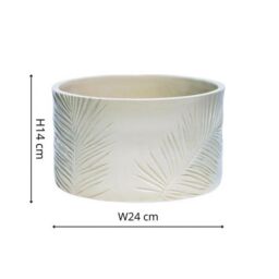 Royal Botanic Gardens Kew Kew Stoneware Sago Palm Bowl Ivory 24Cm - Ceramic - Embossed design - Matt Reactive Glaze - thumbnail 6