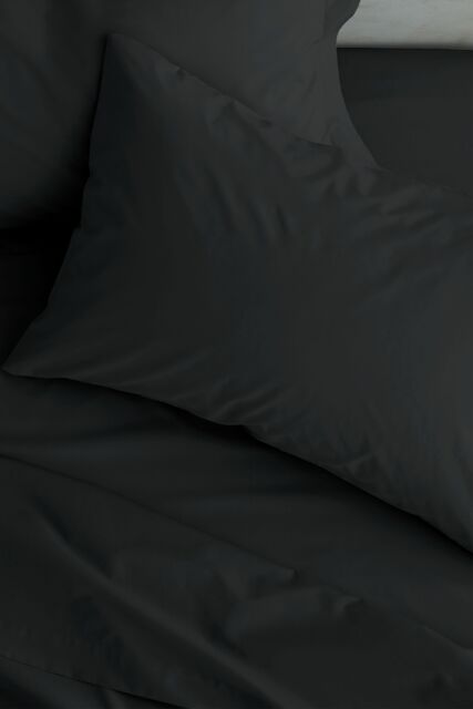 Catherine Lansfield 'Easy Iron Percale' Standard Pillowcase Pair in Black - Size: Standard Pillow Case - image 1