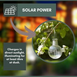 Marco Paul Pack of 4 Firefly Orb Solar Powered Garden Lights in Clear - thumbnail 4